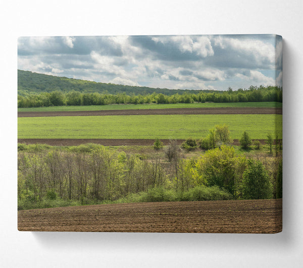 Brown Fields And Green Hills