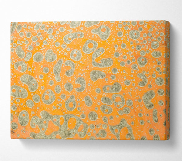 Orange & Silver Cells