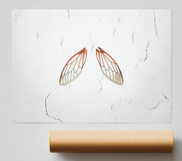 Crimson Cicada Wings