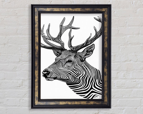 Stag Zebra Stripes