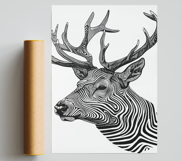 Stag Zebra Stripes