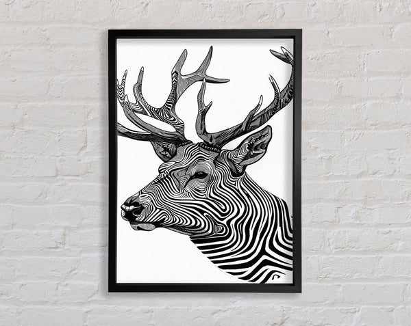 Stag Zebra Stripes