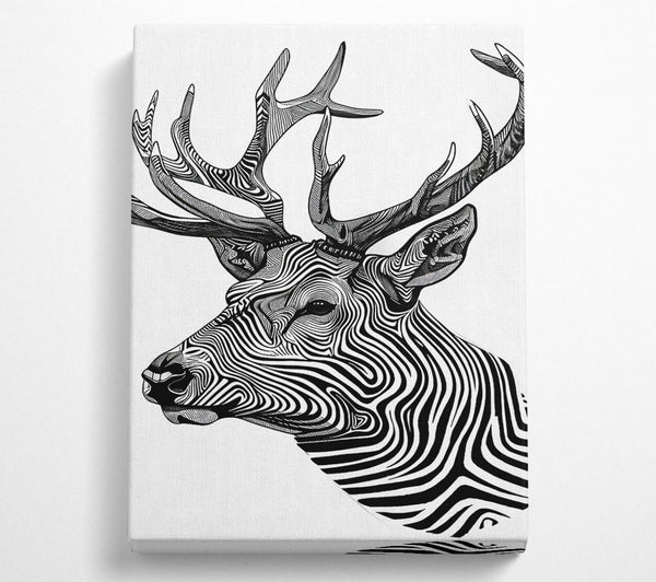 Stag Zebra Stripes