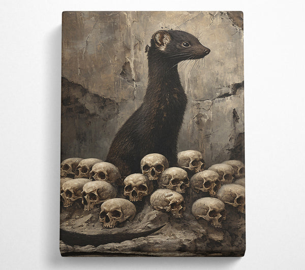 Stoat Of Skulls