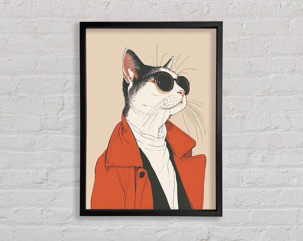 Sunglasses Coat Cat