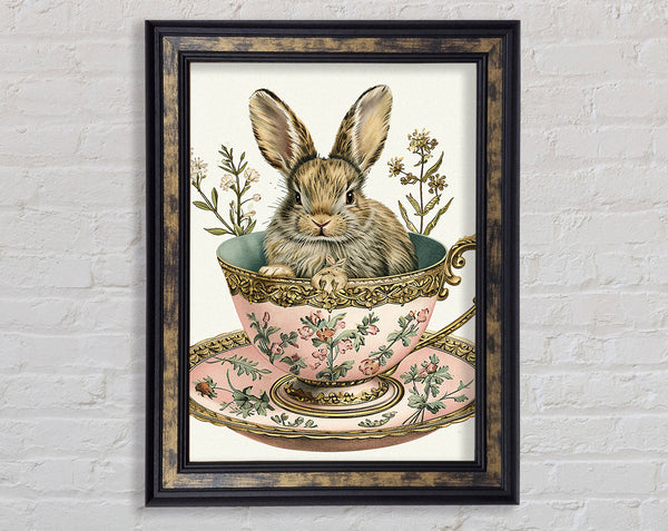 Tea Cup Rabbit