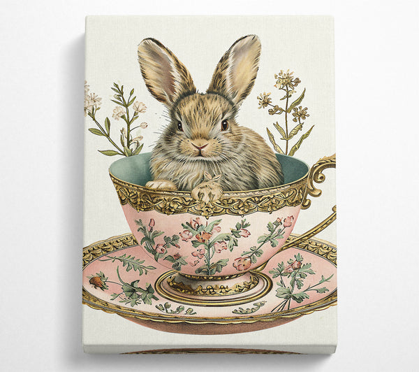 Tea Cup Rabbit