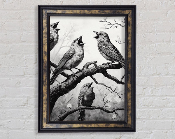 The Birds In Walnut And Walnut