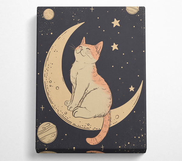 The Cat On The Moon