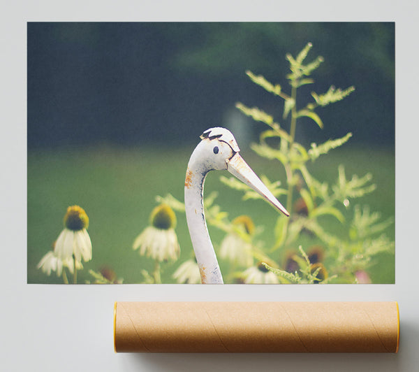 White Crane In Bloom