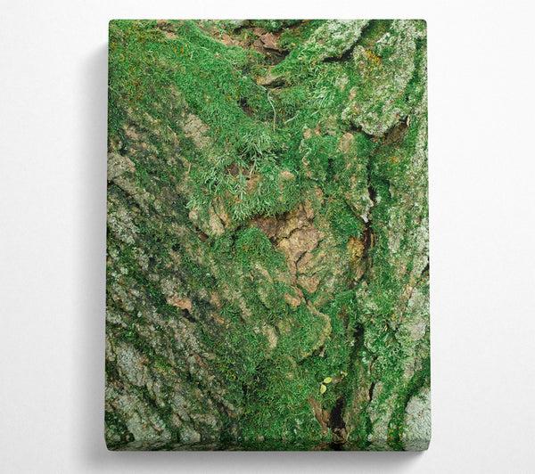 Emerald Bark Texture