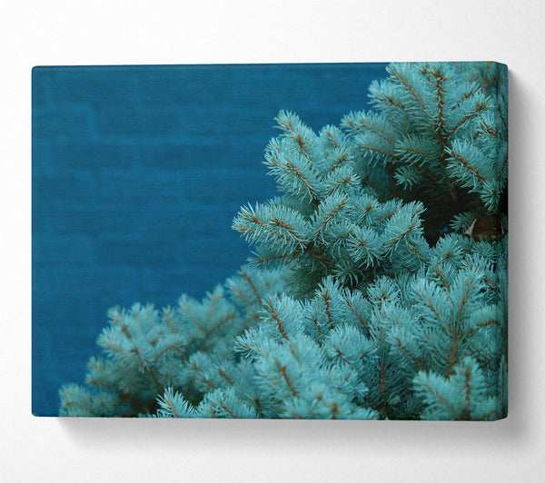 Teal Pine Branches