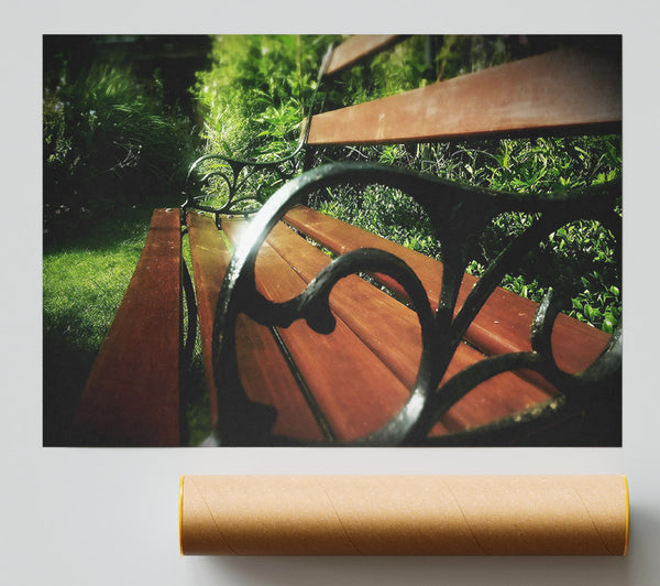 Sunlit Mahogany Bench