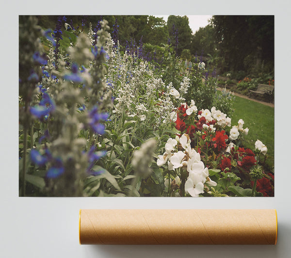 Blue Garden Bloom