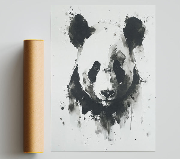 Black And White Panda