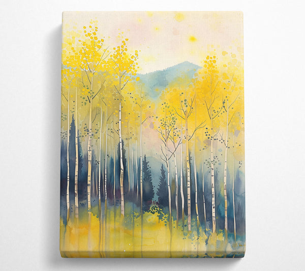 Golden Aspen Grove.