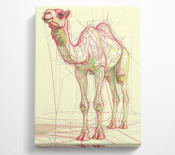 Red Line Camel