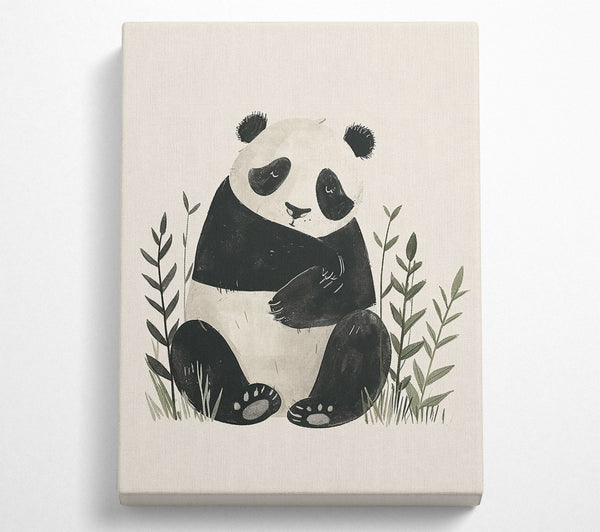 Black And White Panda Dream