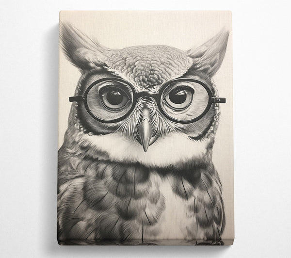 Black And White Owl