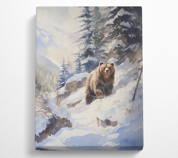 Brown Bear In Blue Snow