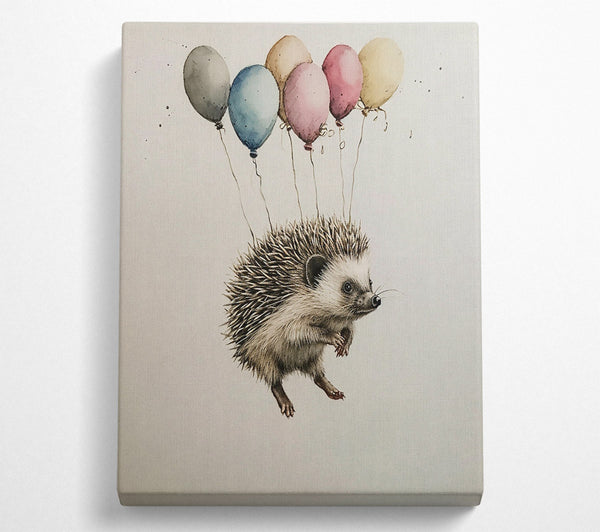 Pink Balloon Hedgehog