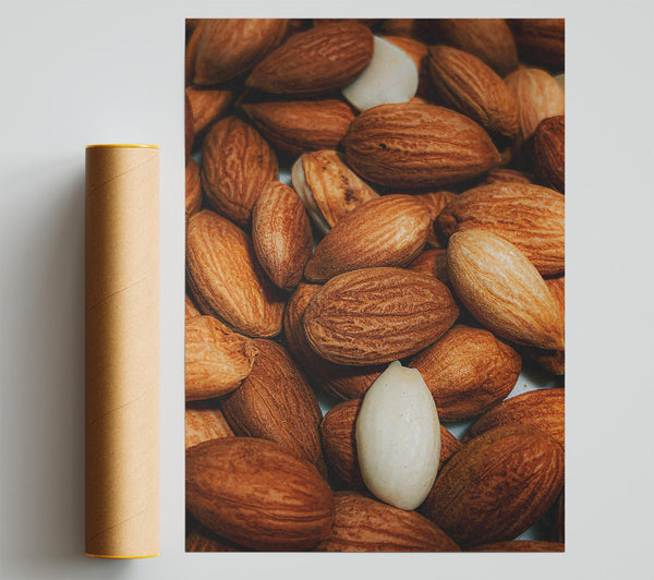 Brown Almond Abundance