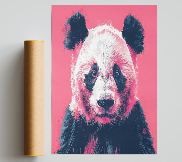 Pink Panda Stare