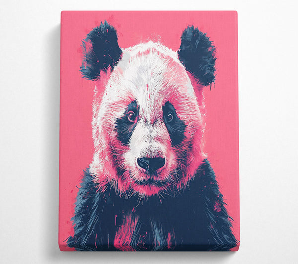 Pink Panda Stare