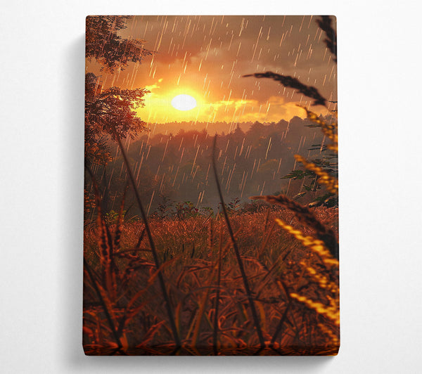 Golden Sunset Rain