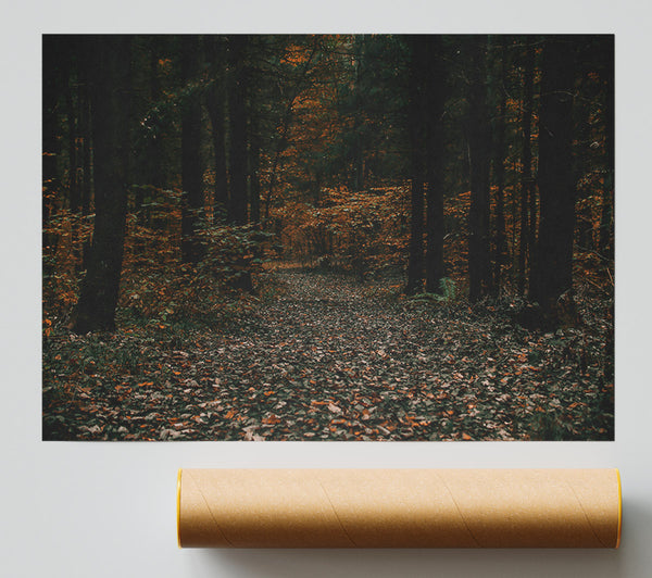 Autumnal Forest Path