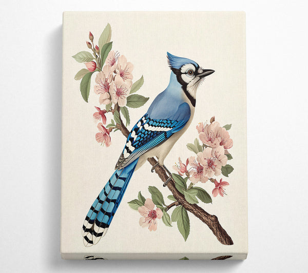 Blue Jay In Bloom