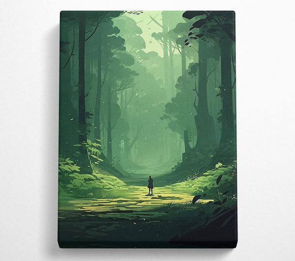 Wide Forest Walk