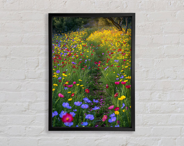 Wildflower Pathway