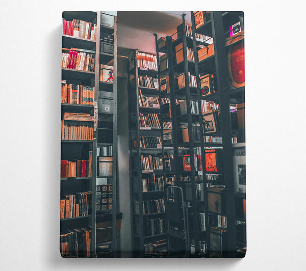 Red Bookcase Stacks