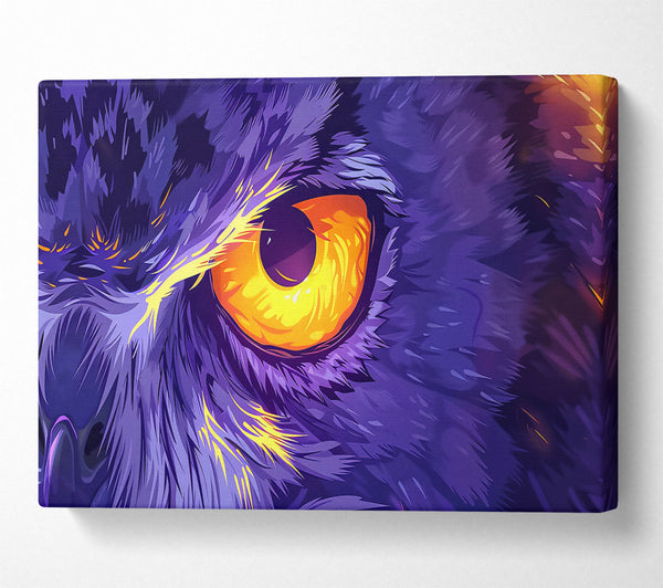 Purple Owl Gaze