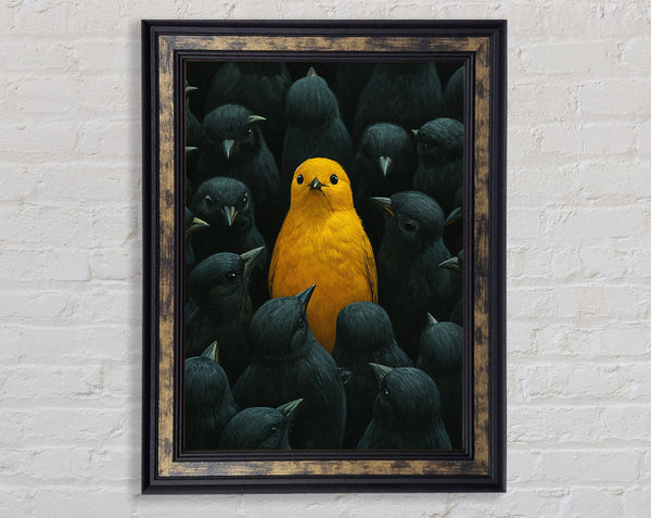 Yellow Bird Alone