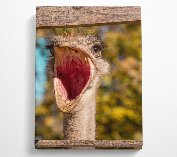 Red Open Mouth Ostrich