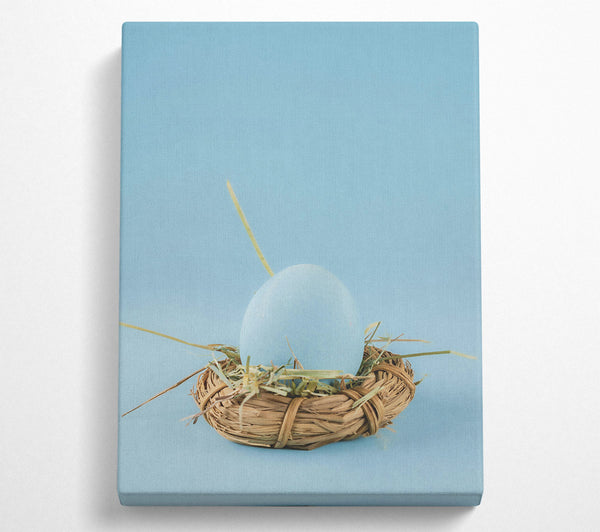 Pale Blue Nest Egg