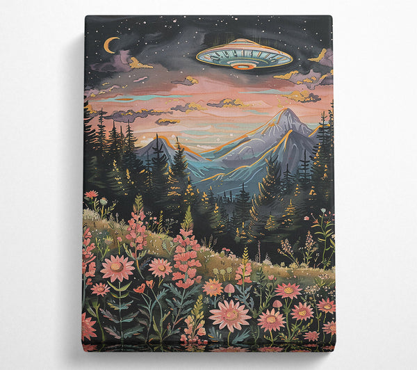 Pink Mountain Ufo