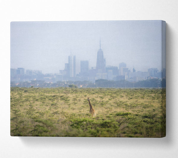 Green Giraffe Skyline