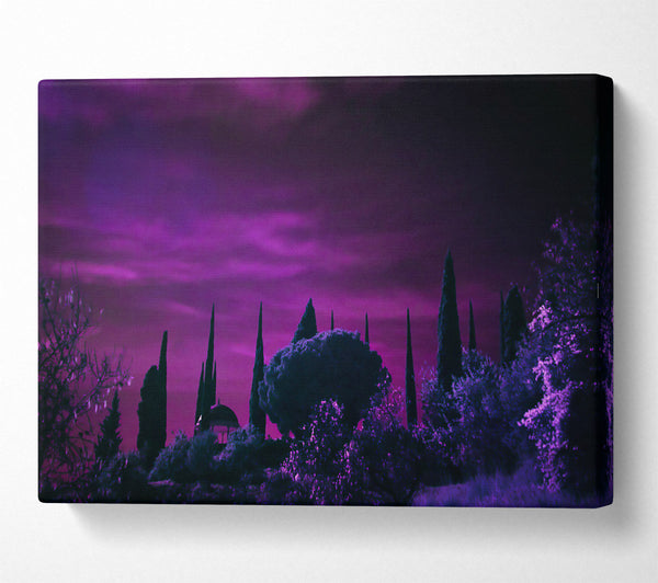 Purple Twilight Sky