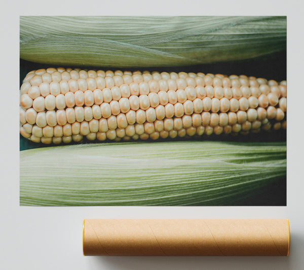 Creamy Corn Cob Rows