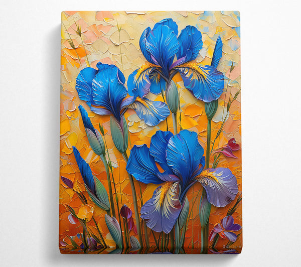 Blue Irises In Sun