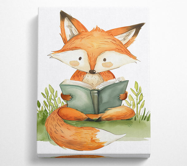 Orange Fox Reading