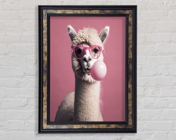 Alpaca Pink Bubble Gum