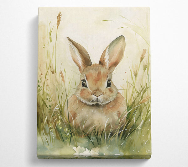 Brown Bunny In The Grass