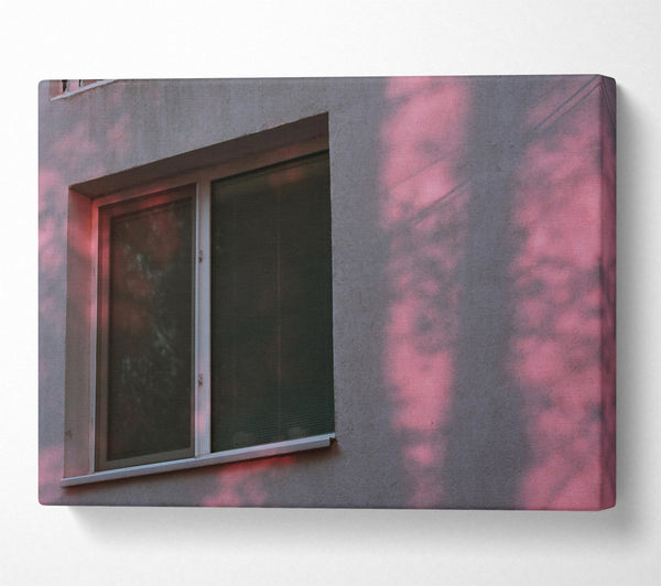 Pink Window Light