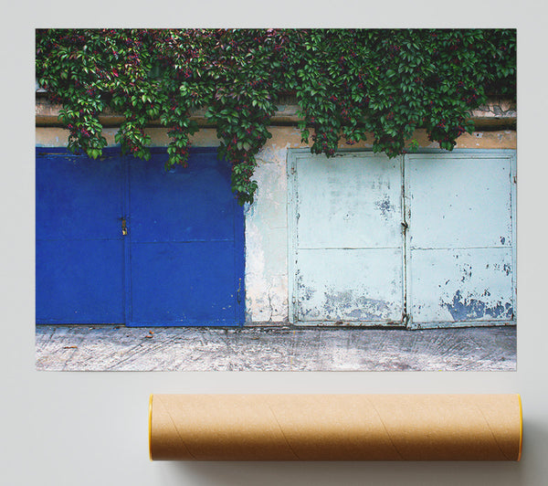 Blue Door And Vines.