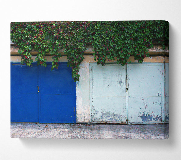 Blue Door And Vines.