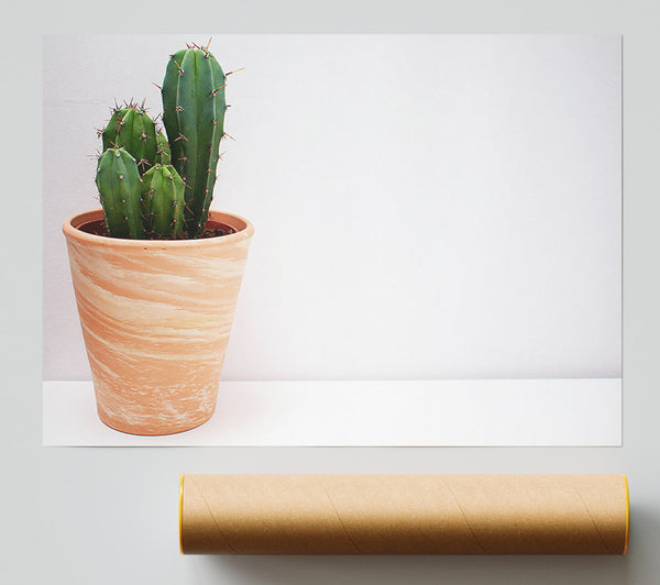 Terracotta Cactus Bloom